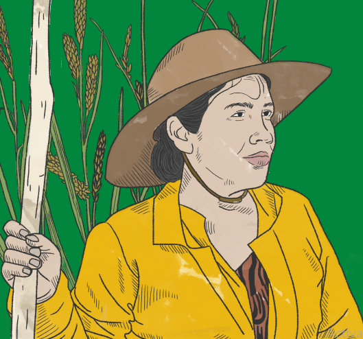 ¿Cómo posicionar la Agenda de Mujeres, Paz y Seguridad en los planes territoriales de desarrollo?