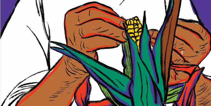 La paz avanza con las mujeres: V Informe de observaciones sobre los avances en la implementación del enfoque de género del Acuerdo de Paz